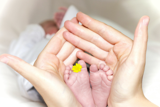 Infant's feet with a small flower between